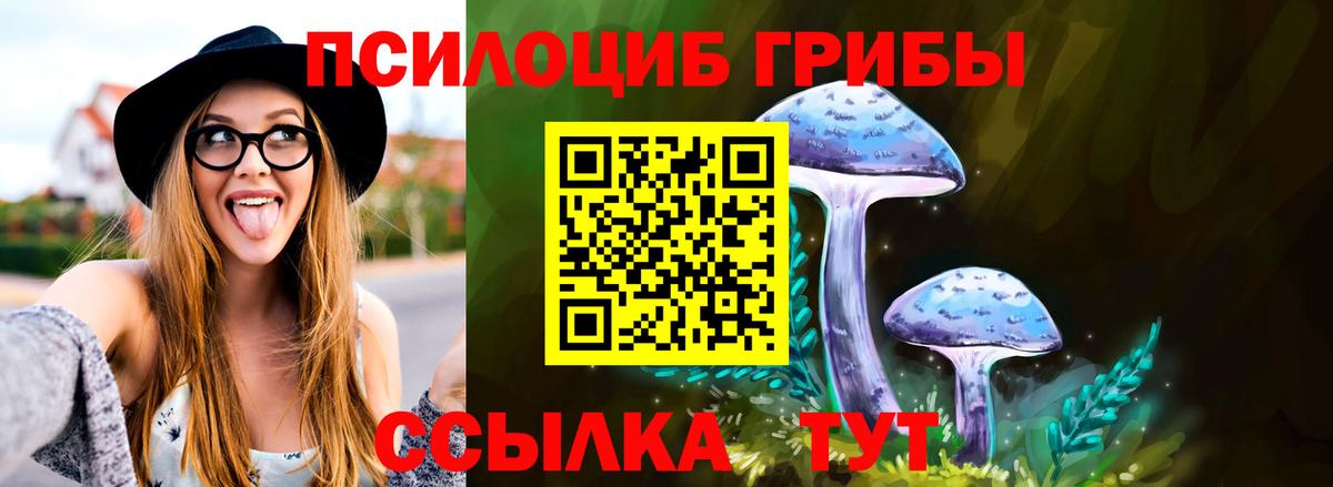 Псилоцибиновые грибы прущие грибы Серов